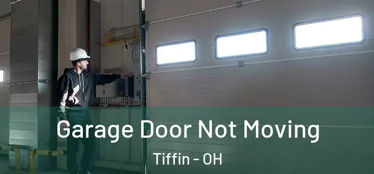  Garage Door Not Moving Tiffin - OH